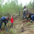 16 octubre a les 11h. reforestació a la Riera de Llitrà organitza ADF Carrerada amb el suport de Ajuntament de Vilafranca. ESTEU TOTS CONVIDATS.