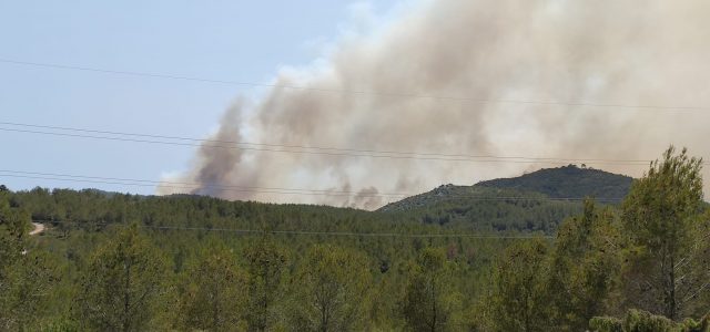 A les 13h s’ha declarat un incendi forestal a Olivella. Estan treballant a la zona 25 vehicles d’extinció de les ADF amb 71 voluntaris sense deixar el territori descobert. Altres […]