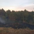 Ahir dia 1 de maig cap a les 20h hi va haver un incendi a Torrelavit. La rapida intervenció va fer que només tingués una afectació de 0,2 ha. Van […]