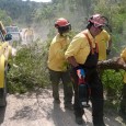 Més de 25 persones van participar a Gelida el dia 10 de maig en un matí de formació en tala d’arbres. Aquesta actuació va servir per obstruir uns senders per […]