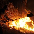   El dia 15 de desembre es faran unes cremes controlades de parcel.les de bosc a la cimentera de Uniland de Els Monjos. Aquestes pràctiques serviran a les ADF per […]