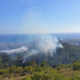 42 voluntaris d’ADF es van mobilitzar en l’incendi forestal que es va declarar al municipi de Calafell just al costat de la urbanització Mas Mel. S’hi van desplaçar els seguients […]