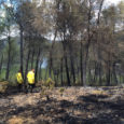 Un llamp va provocar un incendi forestal a olivella el dia 22 de juliol cap a les 19:30 h de la tarda. Ràpidament es van mobilitzar els efectius d’extinció dels […]