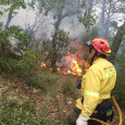 Un llamp va provocar un incendi forestal a la serra del Bolet el dilluns dia 8 de juny durant una tempesta amb molta càrrega elèctrica. El lloc era de difícil […]