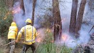 El 7 d’abril a la tarda enmig de fort vent un incendi forestal a Ribes va cremar quasi una ha. de bosc en un torrent de molt difícil accés. Les […]