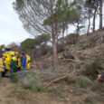 Una dotzena de voluntaris van participar diumenge dia 5 de febrer en la tala d’arbres cremats de l’incendi del passat estiu a Torrelavit. Aquest paratge es prepara per ser reforestat […]